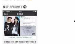 天涯爆料詹仁雄视频播放,詹仁雄视频播放引发热议，揭秘背后真相